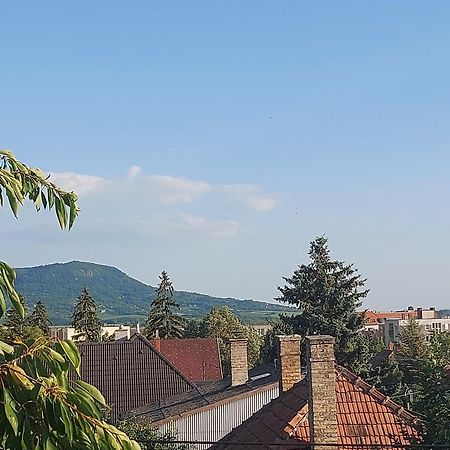 Badacsonyi Csaladi Privat Hazak Apartman Badacsonytomaj Kültér fotó